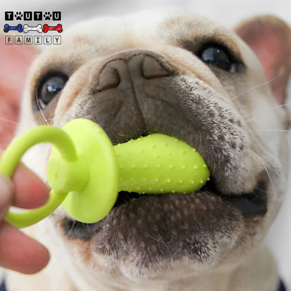 Jouets pour chiots - DentToutou™