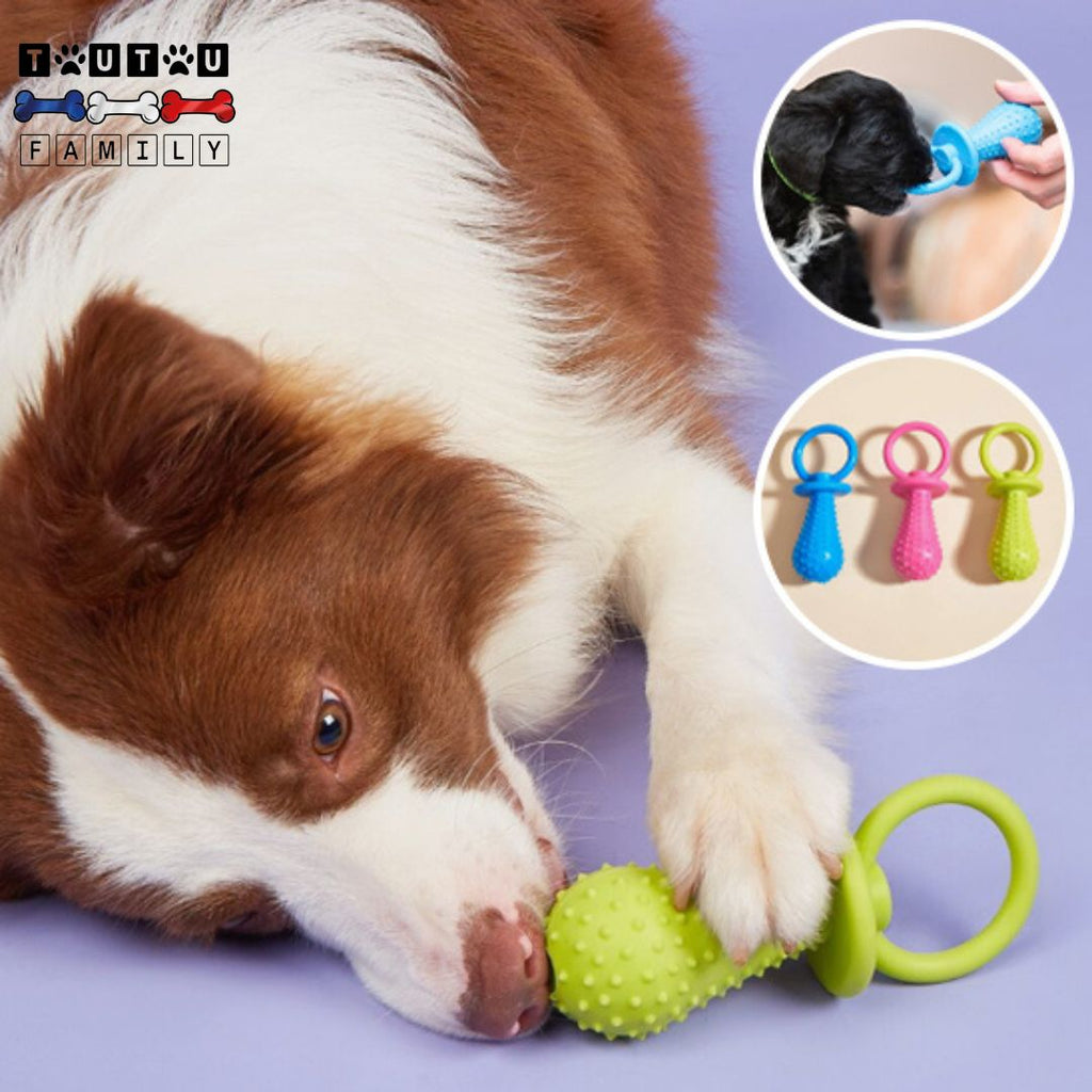 Jouets pour chiots - DentToutou™
