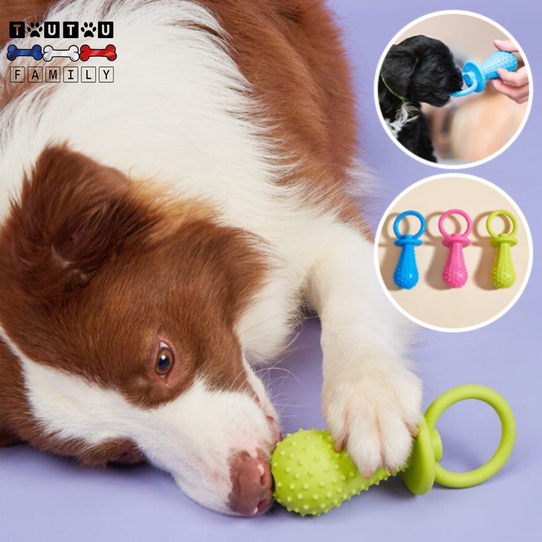Jouets pour chiots - DentToutou™