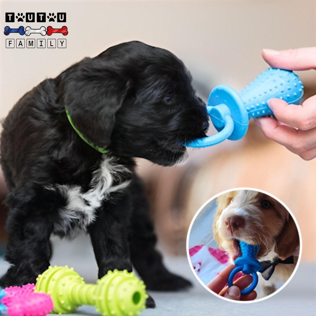 Jouets pour chiots - DentToutou™