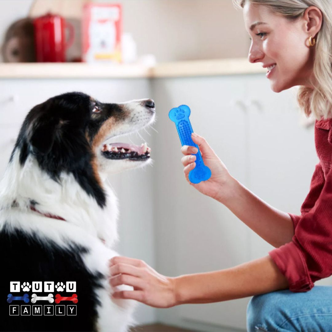 Jouets pour chiots  - MâcheToutou™