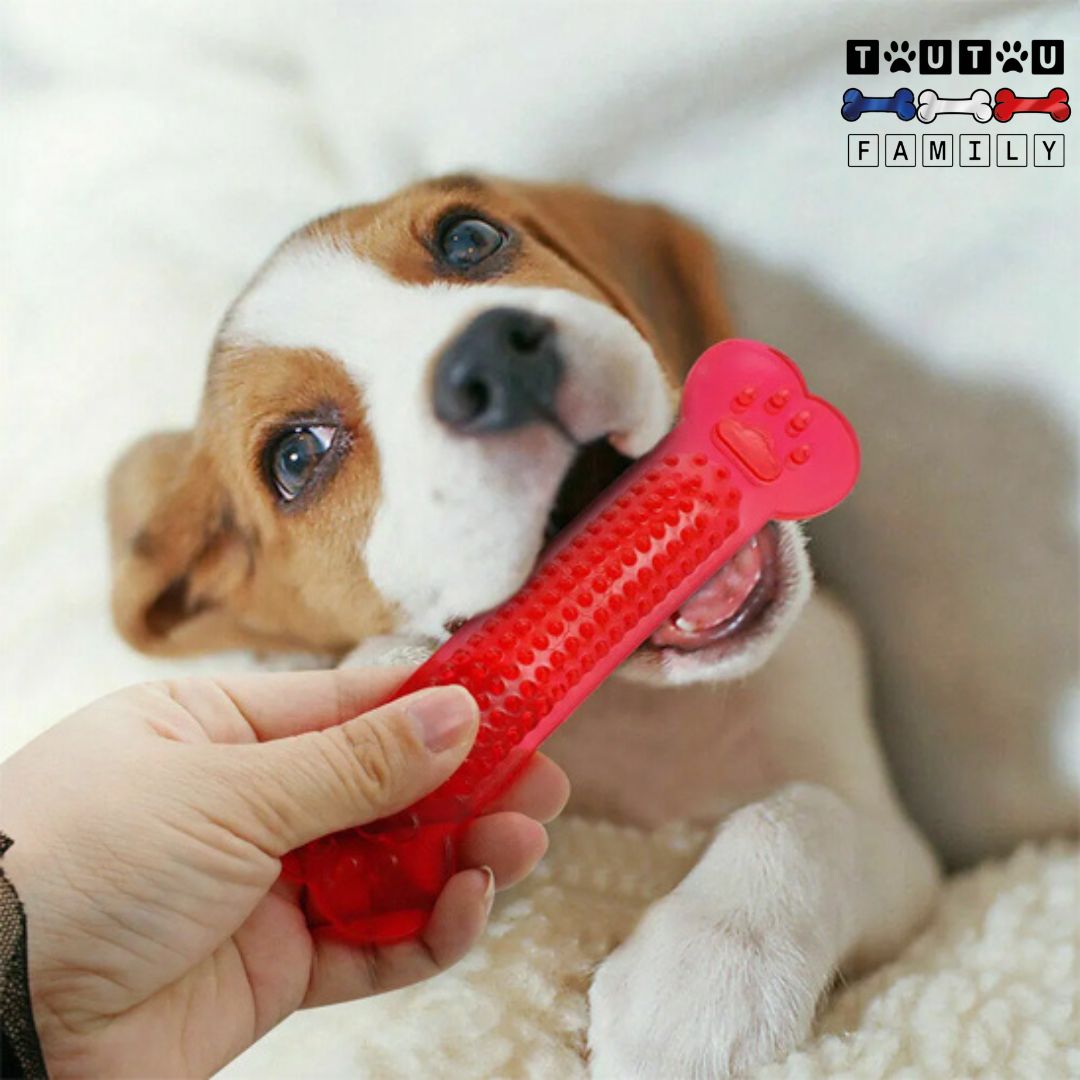 Jouets pour chiots  - MâcheToutou™