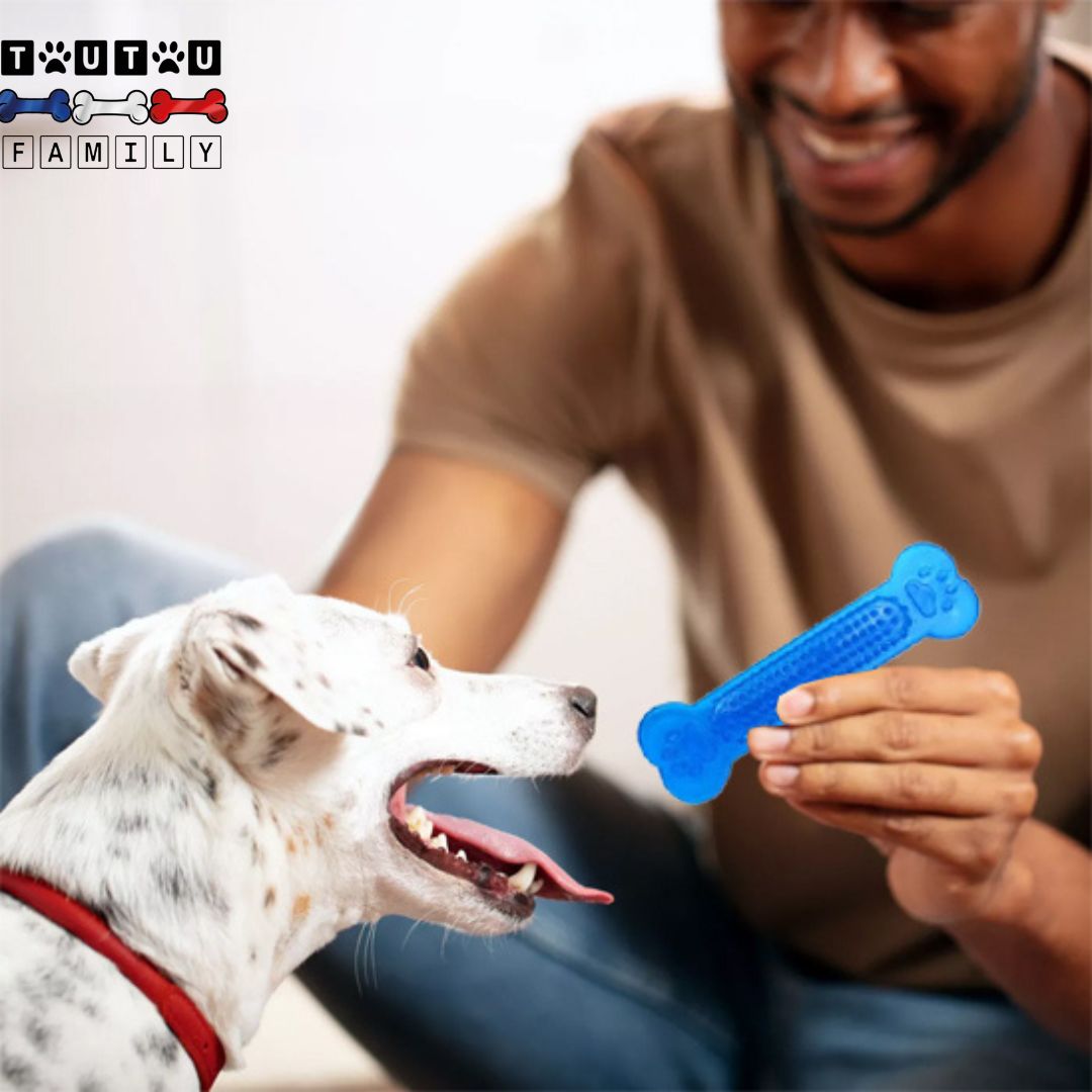 Jouets pour chiots  - MâcheToutou™