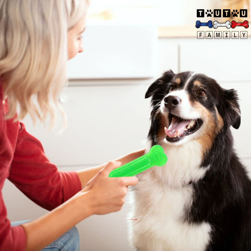 Jouets pour chiots  - MâcheToutou™