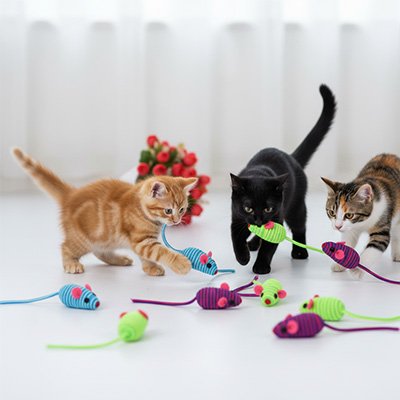 Jouets pour les chats souris