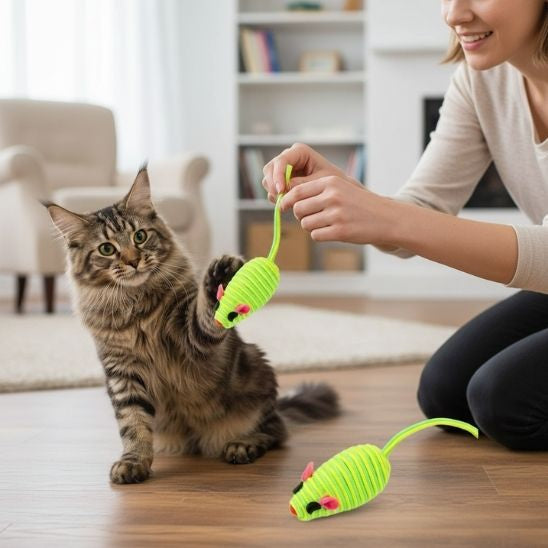 Jouets pour les chats souris