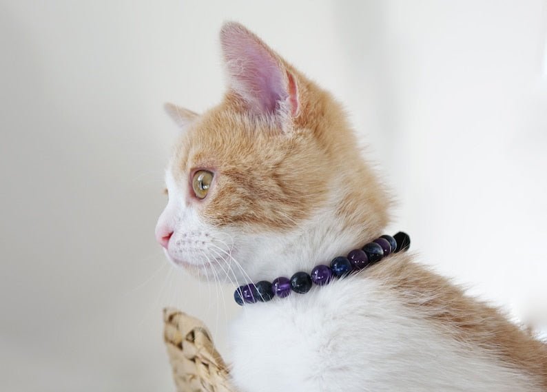 Collier Anti-Stress Pour Chat Design