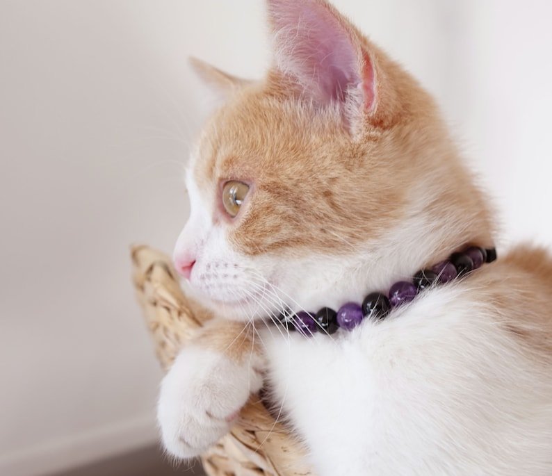 Collier Anti-Stress Pour Chat Design