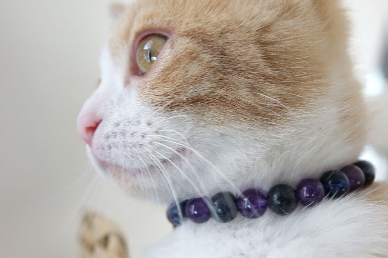 Collier Anti-Stress Pour Chat Design