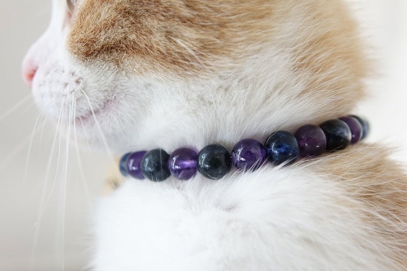 Collier Anti-Stress Pour Chat Design