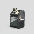 Sac Moto pour Chien 44 L Oscar & Plume : transport sûr et confortable sur deux roues
