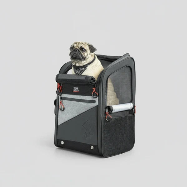 Sac Moto pour Chien 44 L Oscar & Plume : transport sûr et confortable sur deux roues