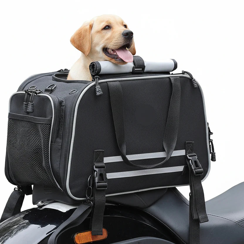 Sac De Transport Chien Moto Résistant Et Confortable