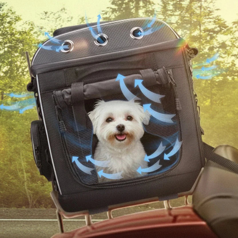 Sac Moto Pour Chien : Transport Sécurisé et Confortable | Oscar et Plume