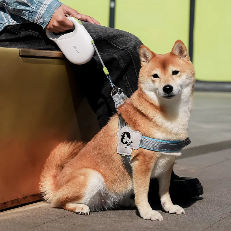 Laisse Rétractable 5 Mètres Pour Chien