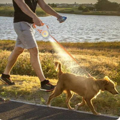 Laisse chien rétractable 5m