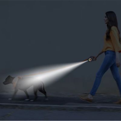 Laisse chien rétractable 5m