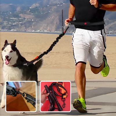 Laisse chien main libre - FreedomLeash™