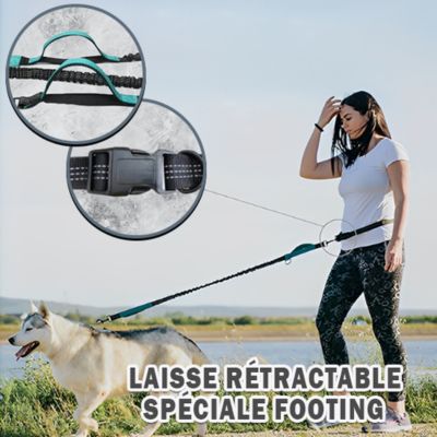 Laisse chien main libre - FreedomLeash™