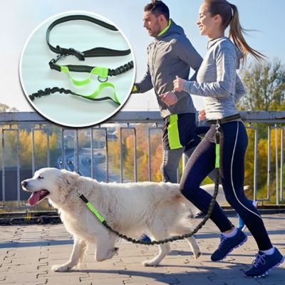 Laisse chien main libre - FreedomLeash™