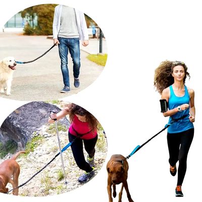 Laisse chien main libre - FreedomLeash™