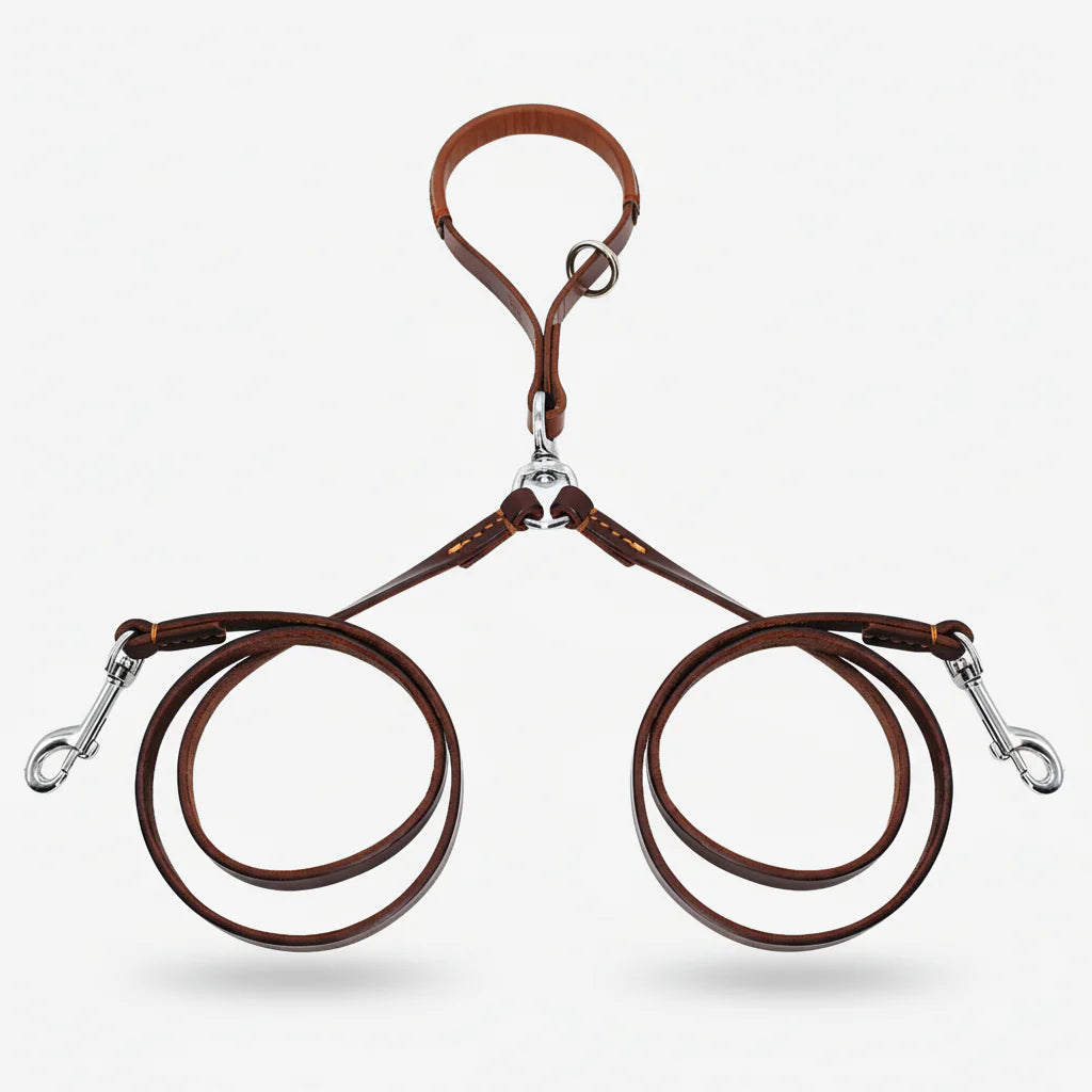 Laisse double pour chien en cuir brun avec mousquetons en métal pour promenades confortables