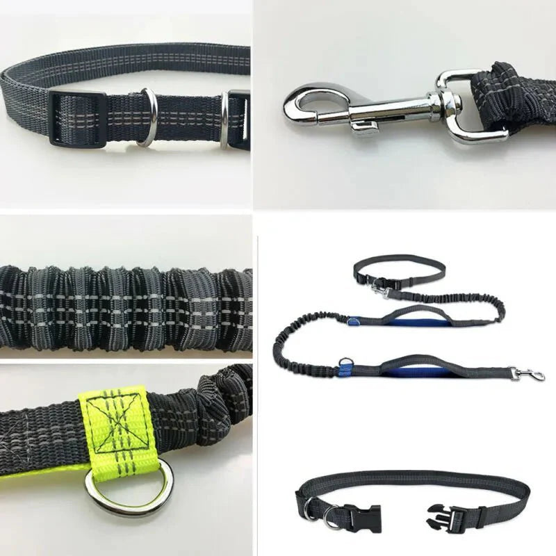 Laisse Elastique Pour Chien Résistante Et Confortable