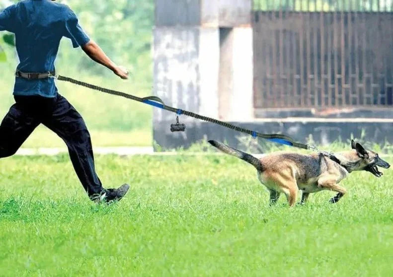 Laisse Elastique Pour Chien Résistante Et Confortable