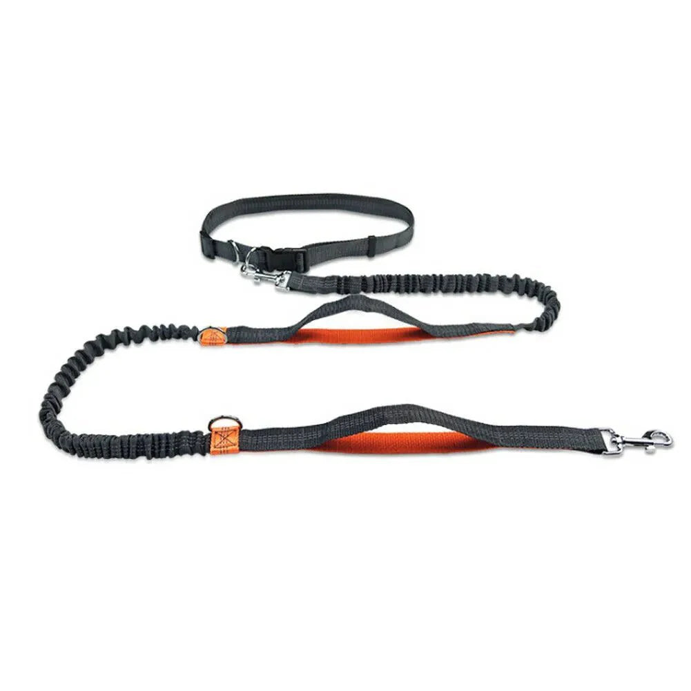 Laisse elastique pour chien de la marque Oscar et Plume noire avec poignées rembourrées orange