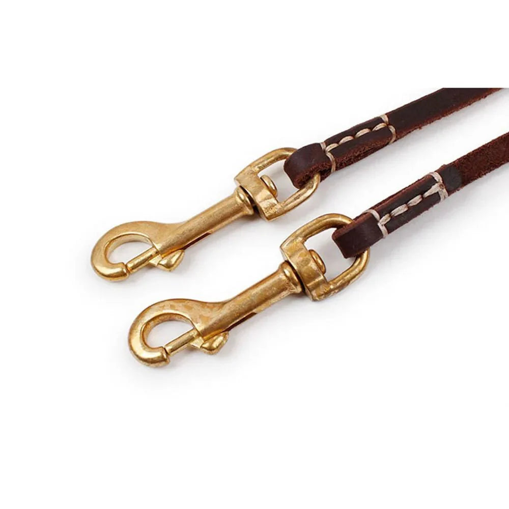 Laisse En Cuir Véritable Pour Chien