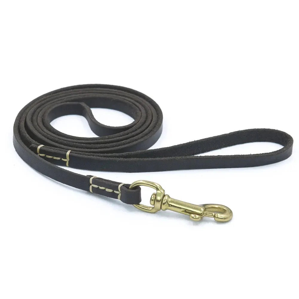 Laisse en cuir pour chien marron avec attache en métal doré solide et poignée cousue