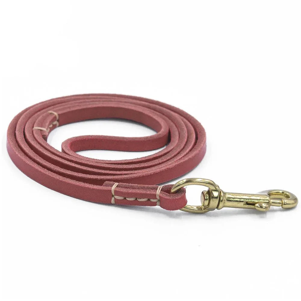 Laisse En Cuir Véritable Pour Chien