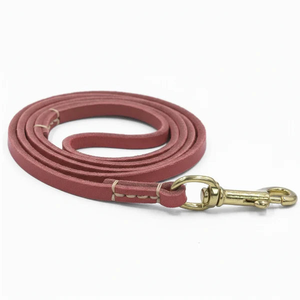 Laisse en cuir pour chien de couleur bordeaux avec attache en métal doré par Oscar et Plume
