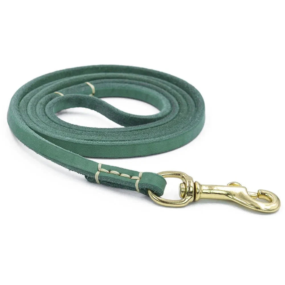 Laisse En Cuir Véritable Pour Chien