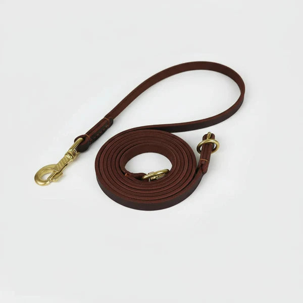 Laisse en cuir souple pour chien marron avec mousqueton en laiton et design élégant