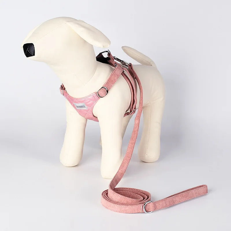 Harnais Avec ou Sans Laisse  Design Pour Chien