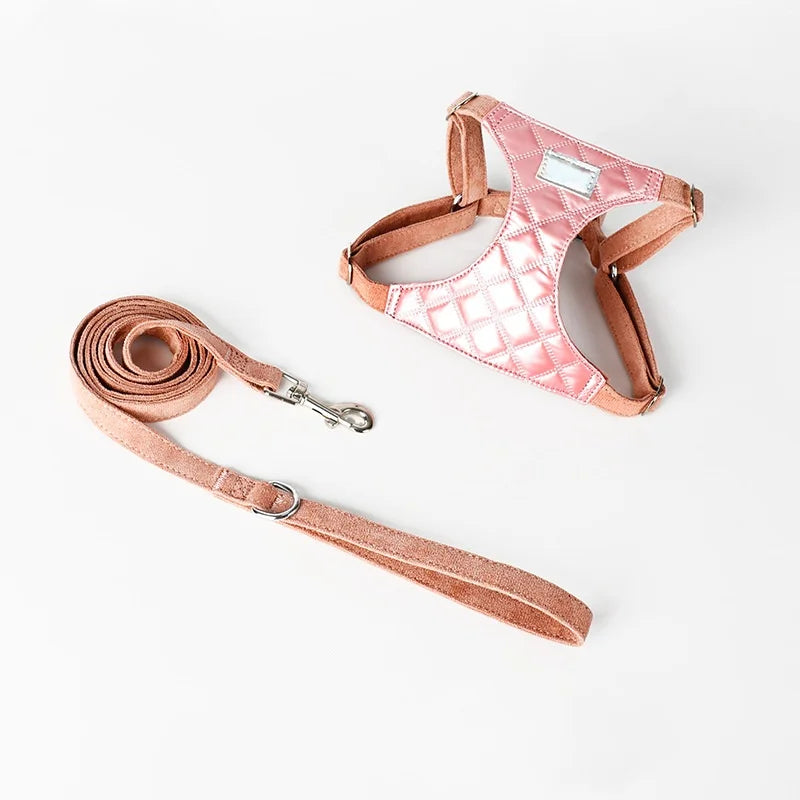 Harnais Avec ou Sans Laisse  Design Pour Chien