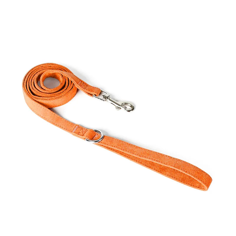 Laisse et harnais pour chien en orange, élégante et résistante, idéale pour les promenades