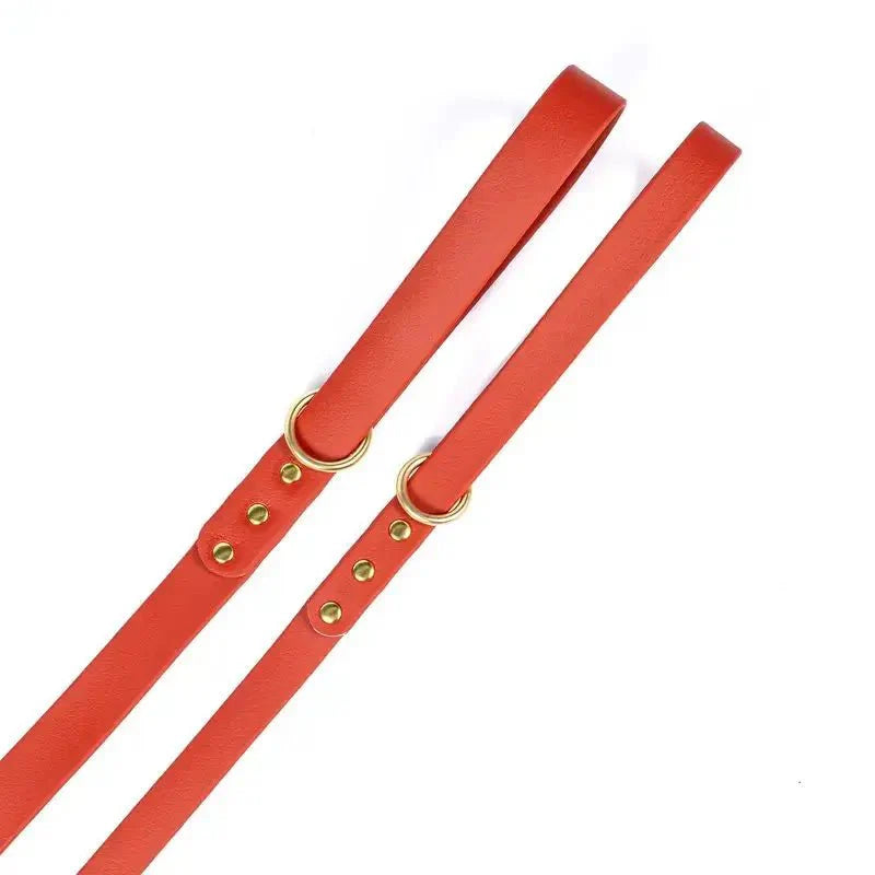 Laisse Imperméable De 1.5 M Pour Chien