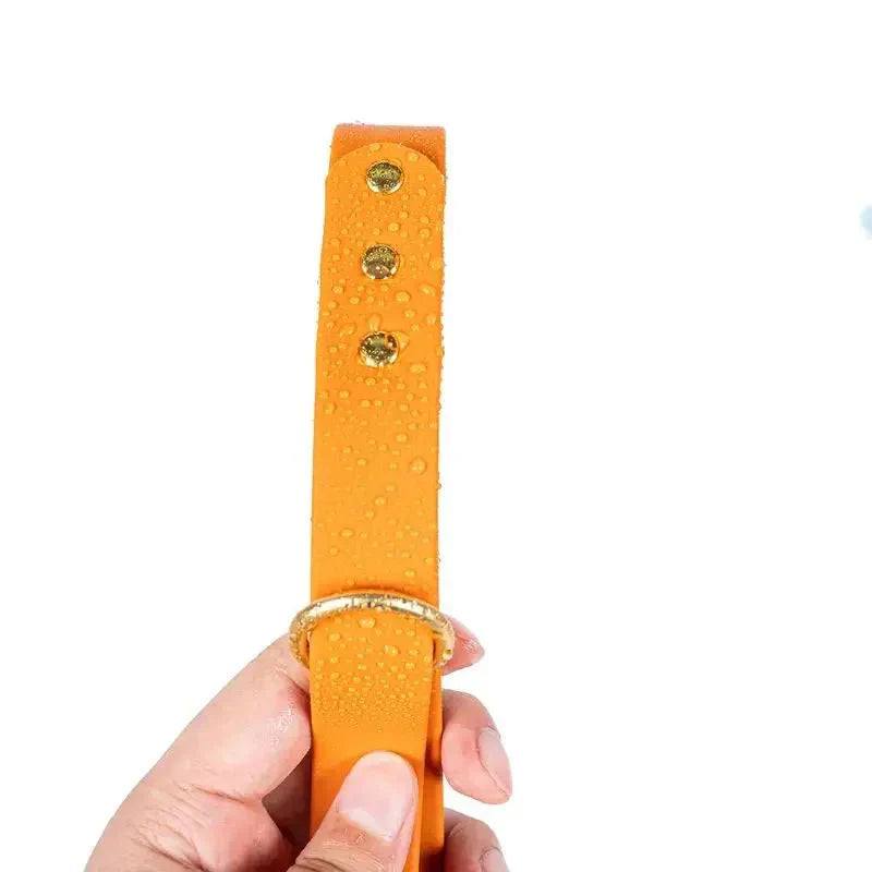 Laisse Imperméable De 1.5 M Pour Chien