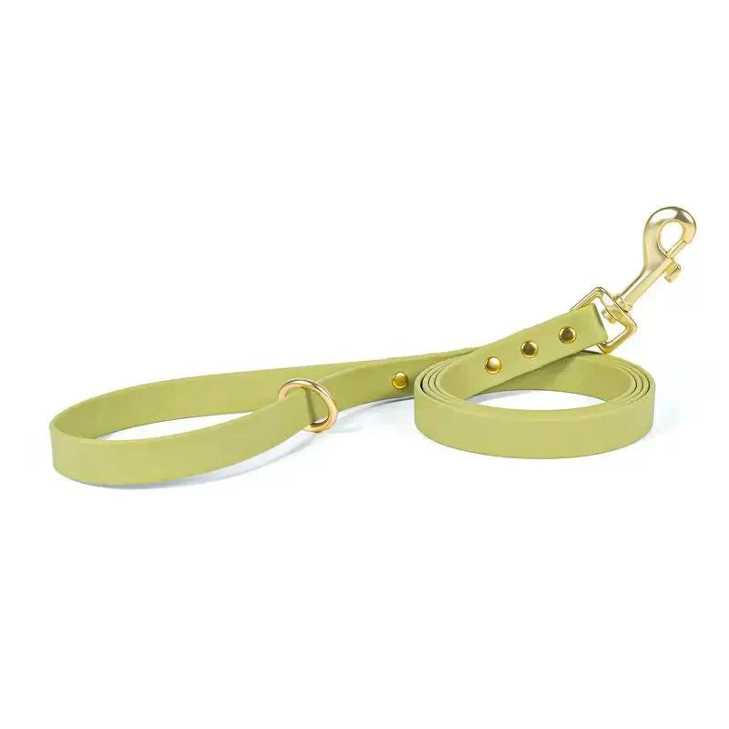 Laisse imperméable pour chien Oscar et Plume en matériau résistant couleur vert clair avec mousqueton doré