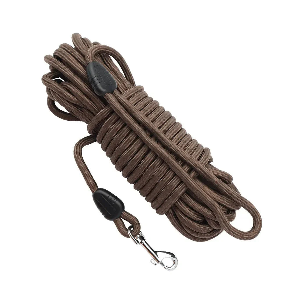 Laisse longe pour chien en brun robuste, parfaite pour les promenades en plein air