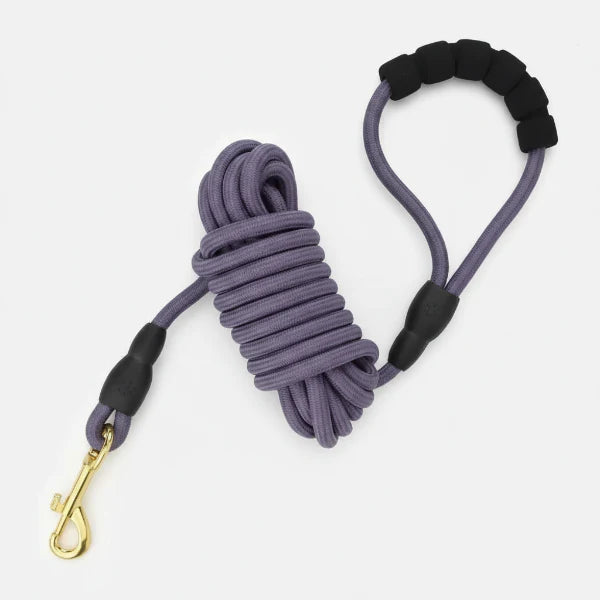 Laisse longe pour chien Oscar et Plume en violet avec une poignée confortable et mousqueton doré