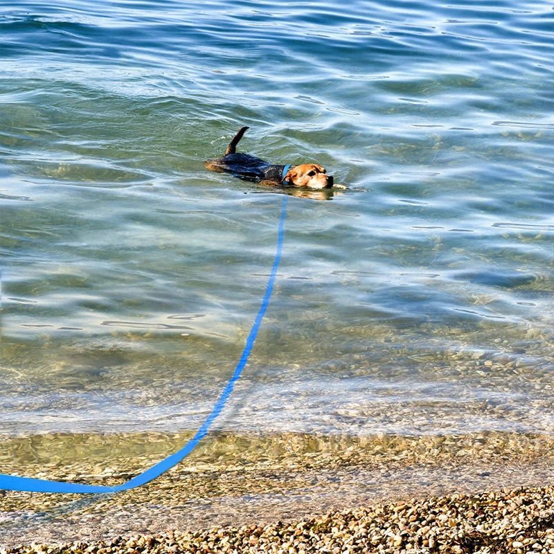 Laisse Longue Pour Chien Résistante
