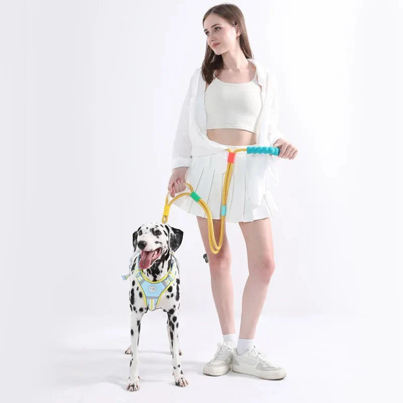 Laisse main libre pour chien avec poignée ergonomique confortable