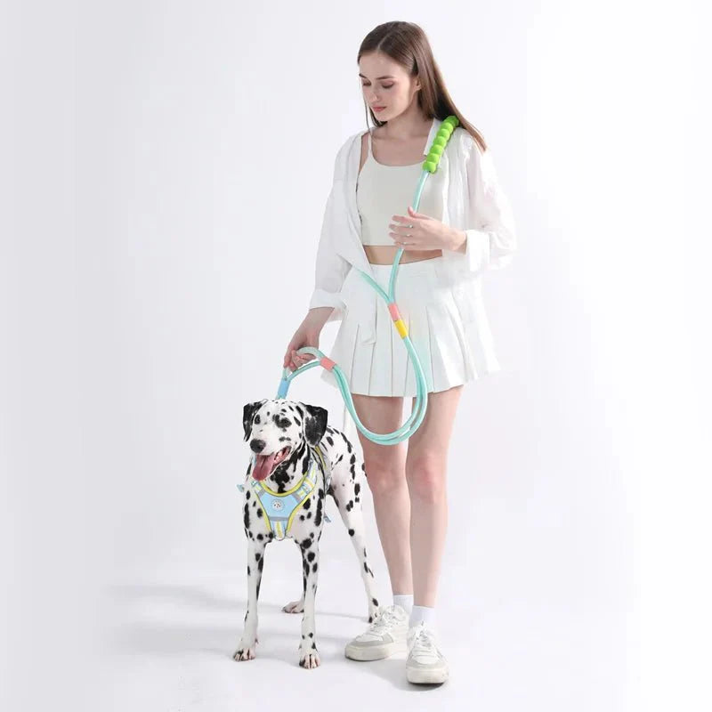 Laisse main libre pour chien avec poignée ergonomique confortable