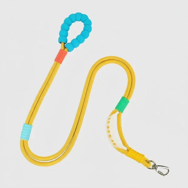 Laisse main libre chien jaune avec poignée rembourrée bleue pour promenade confortable