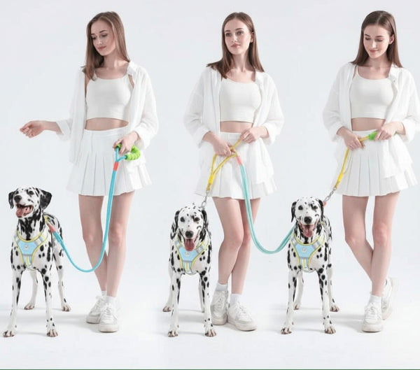 Laisse main libre pour chien avec poignée ergonomique confortable