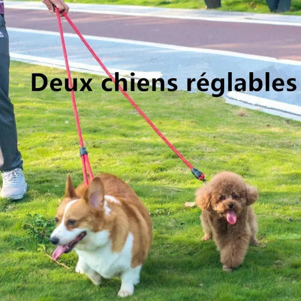Laisse mains libres pour chien, multi-fonction, réfléchissante