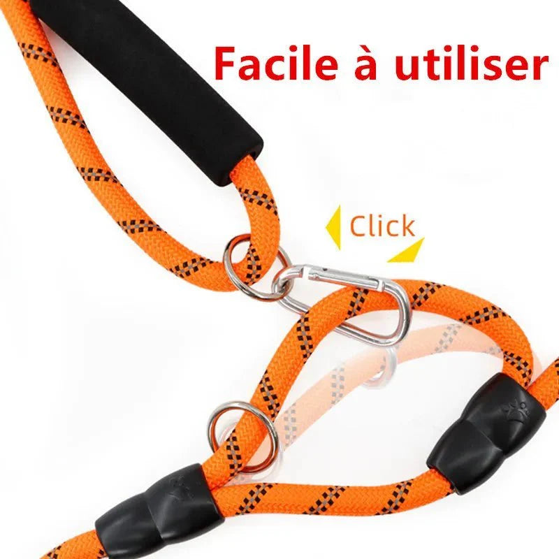 Laisse mains libres pour chien, multi-fonction, réfléchissante